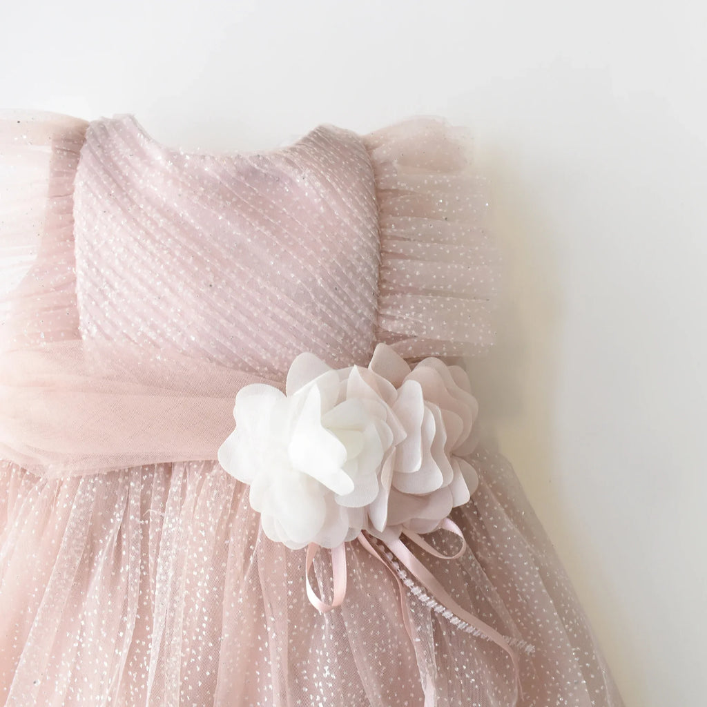 Sweet Sophia Baby Dress