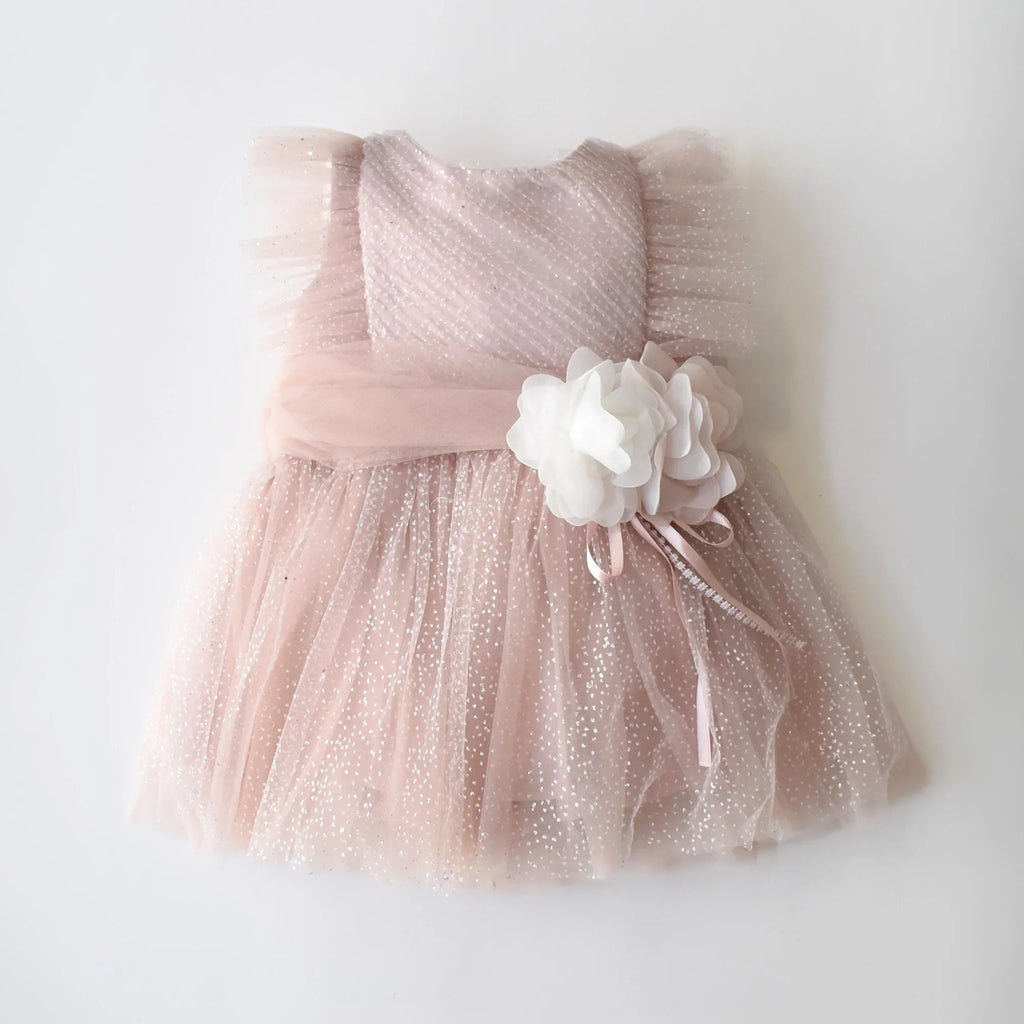 Sweet Sophia Baby Dress