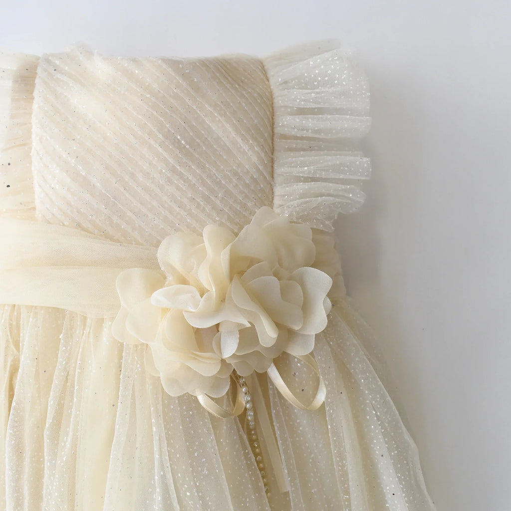 Sweet Sophia Baby Dress