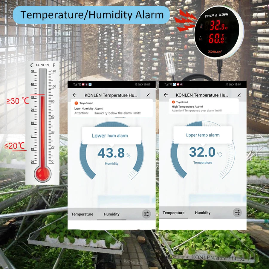 Hygromètre Thermomètre WiFi Tuya - Sonde 3M Moniteur Température Humidité