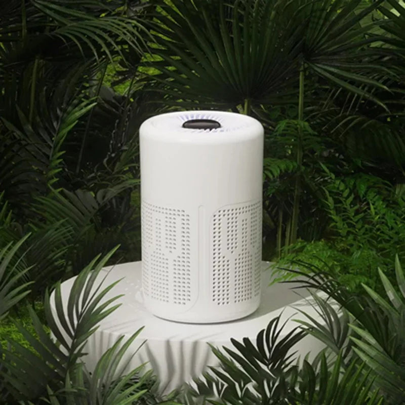 Purificateur d'Air USB Ions Négatifs - Anti-Formaldéhyde Odeurs Maison